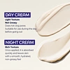 day and night face cream